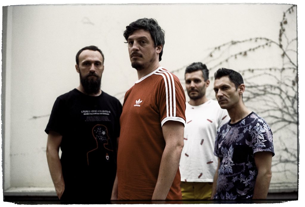 chui, foto: Ivan Buvinic